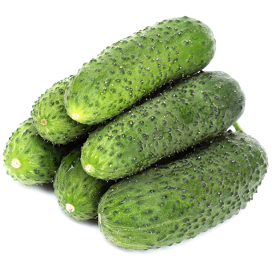 <p>1С:Садовод Базовая версия (ограниченная)</p>